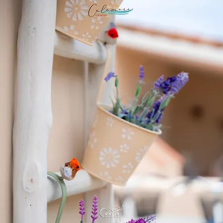 Calamore * Valledoria (Sardinia)